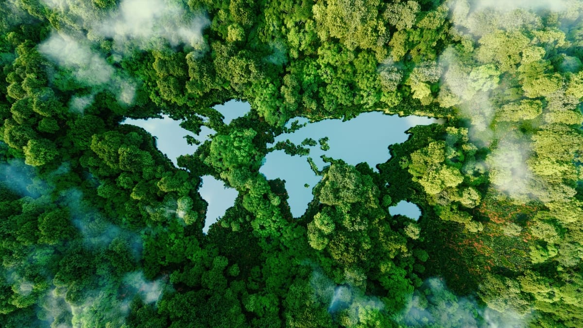A lake in the shape of the worlds continents a metaphor for conservation climate change global warming